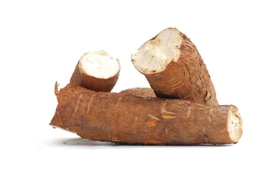 Cassava